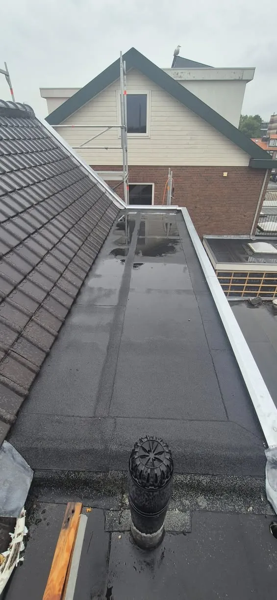 Zinkwerk dakkapellen + bakgoten — Haagweg Rijswijk foto 2