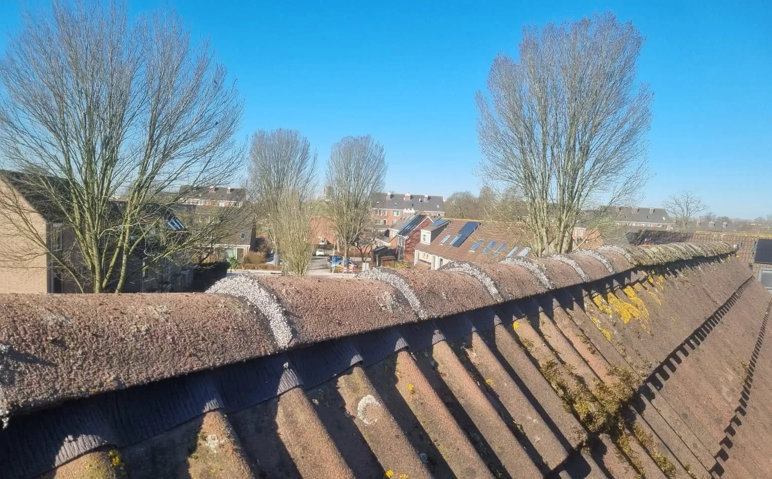 Daken in ons werkgebied — Zuid-Holland en het Westland